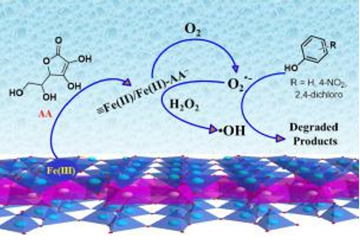 Interfacial reactions between carboxylic acids and iron-bearing clay minerals